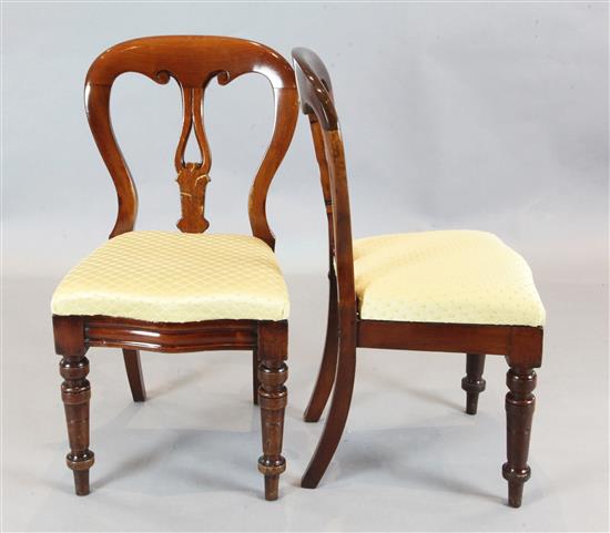 A set of twelve Victorian mahogany balloon back dining chairs, H.2ft 11.5in.